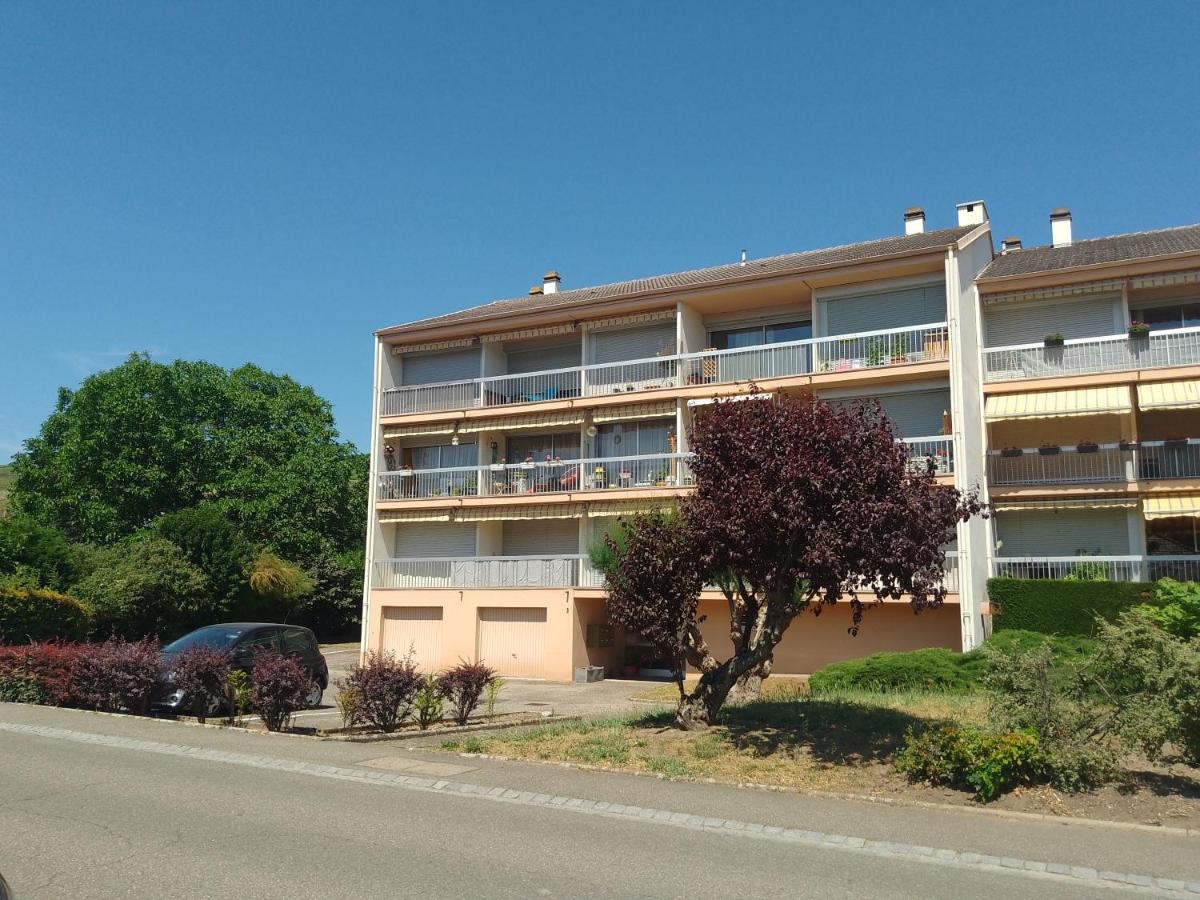 Appartement Avec Balcon : Le Serenity Turckheim Kültér fotó